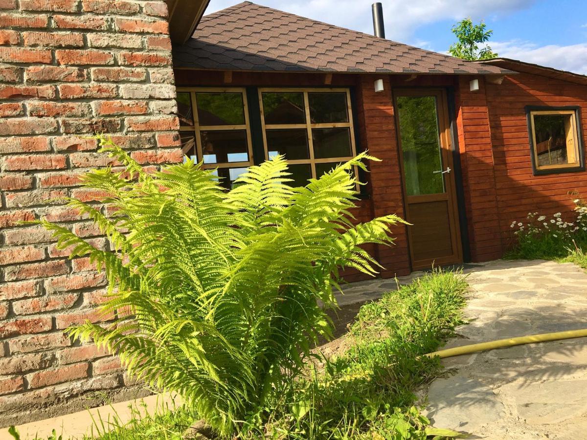 Vip-Domyk Rakhiv Exterior photo