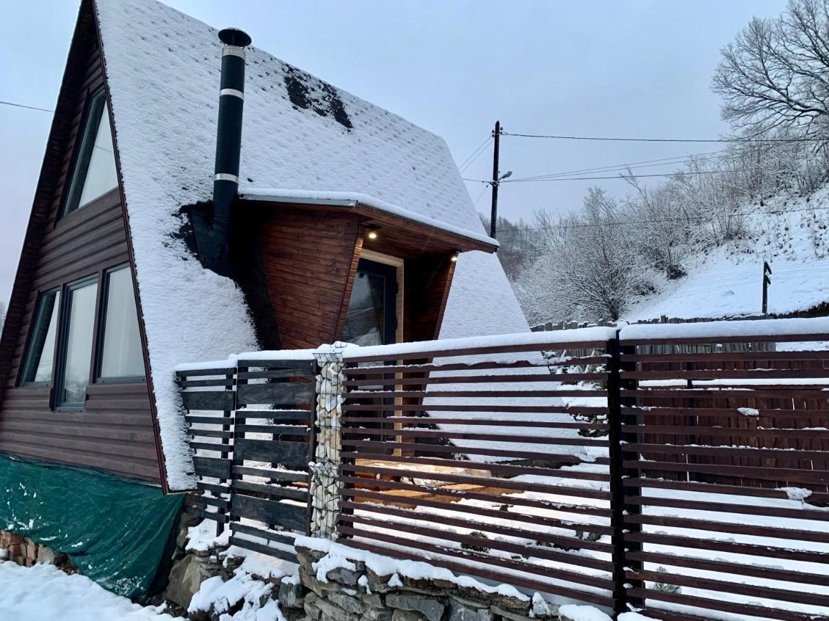 Vip-Domyk Rakhiv Exterior photo